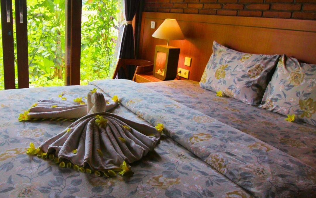 Anandinii River Lodge